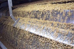 9. The peanuts are then roasted in giant ovens...