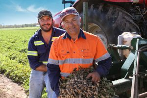 Peanut farmers holding peanuts with tractor